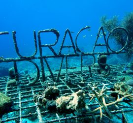 Curacao Divers
