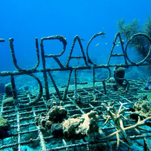 Curacao Divers